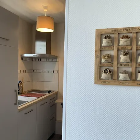 Lejlighed Bel En Centre-ville, Wifi - Fr-1-541-205 La Roche-Posay